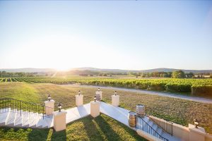 View More: http://denaenicolephoto.pass.us/breauxvineyardfall2016