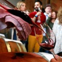 Loudoun County Barrel Wine Tasting 2019