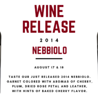 best nebbiolo wine in VA